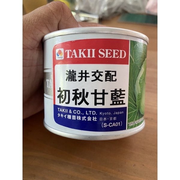 原包裝 1/4磅 Takii初秋種子 約17500粒 初秋種子 高麗菜種子 初秋高麗菜種子 初秋高麗菜種子 甘藍種子