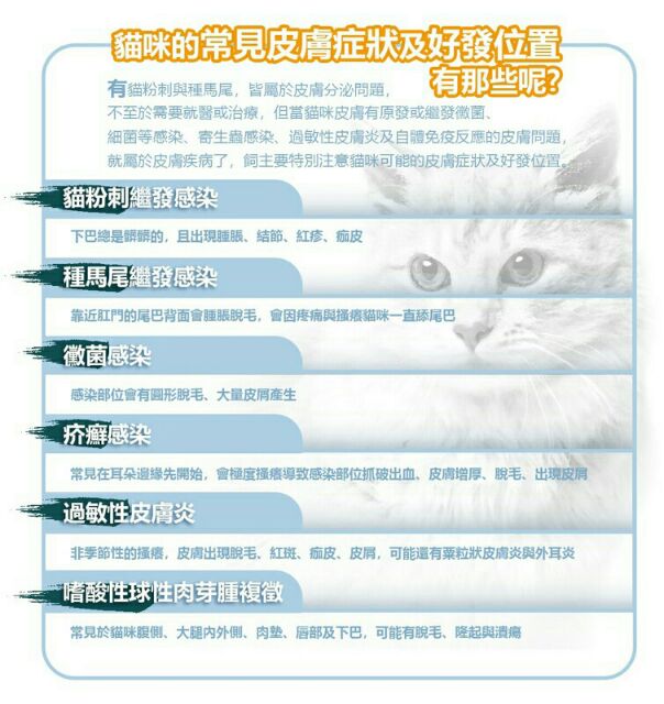 心寵兒寵物生活館 免運 Mrs 木入森貓咪膚立好 改善皮膚問體 增進皮毛健康 加贈木入森排毛粉隨手包
