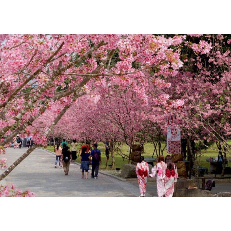 九族門票 九族文化村 門票 南投 （含日月潭纜車）平日假日可用