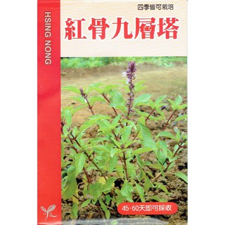 愛上種子 紅骨九層塔 (大葉品種) 【蔬果種子】興農牌 每包約1公克