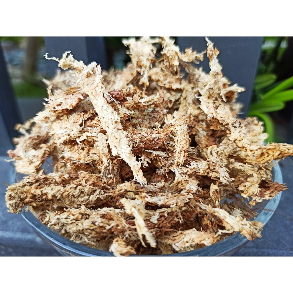 現貨 智利水苔 水草 5kg原裝壓縮包高壓繁殖蘭科植物水草觀葉植物育苗育種栽培介質使用 蒔花弄草 蝦皮購物