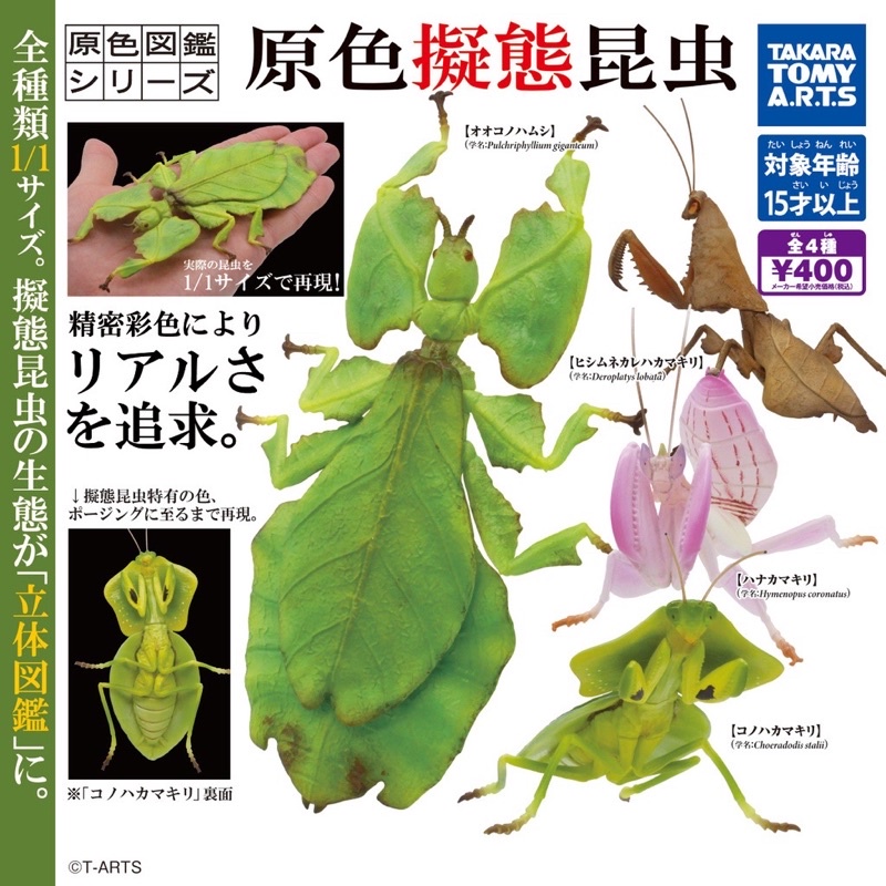 潮玩異世界 現貨 T Arts 轉蛋扭蛋原色擬態昆蟲圖鑑螳螂圖鑑昆蟲擬態偽裝全4款 蝦皮購物