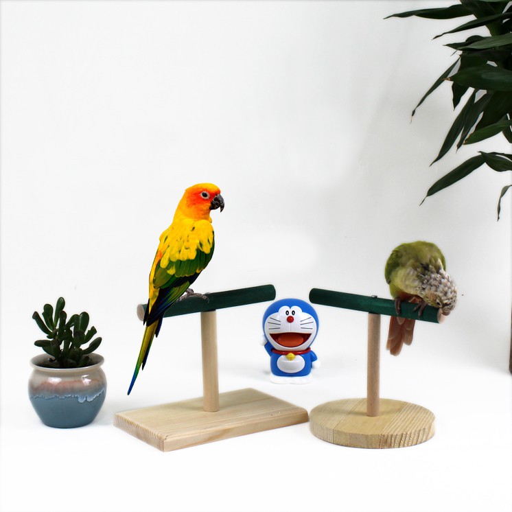 ❀∏✢鸚鵡鳥架小太陽和尚訓練架牡丹玄鳳 桌面站架 凱克玩具 磨砂棒架