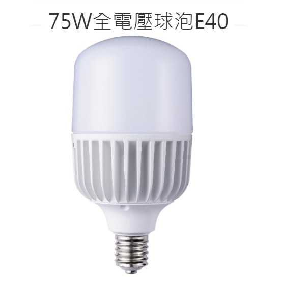 (LS)舞光 LED 大瓦數 燈泡 E40 75W 黃光/白光 全電壓