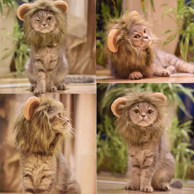獅子頭套 貓咪帽子 貓咪裝飾 拍照必備