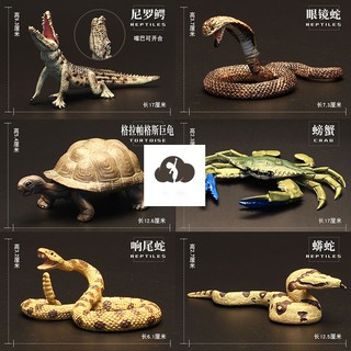 【臺灣現貨】【批發價】外貿出口 新款熱銷 兒童認知玩具實心爬行海洋動物玩具 模擬動物模型園 鱷魚 眼鏡蛇 陸龜 象龜 大