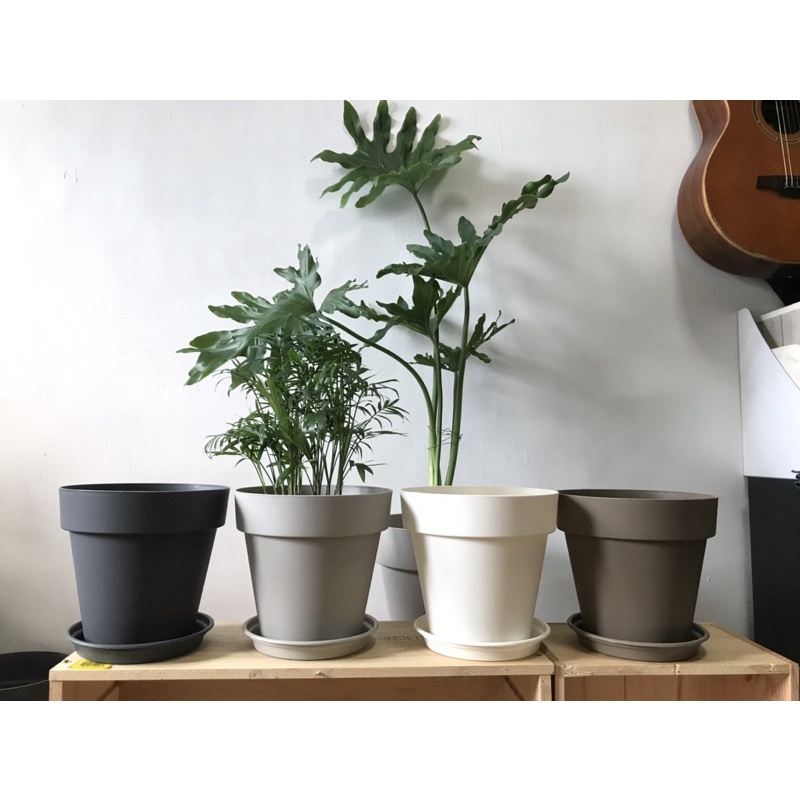 新色現貨 植感好盆 5吋6吋8吋小清新簡約塑膠盆附底盤 加厚 觀葉多肉塊根龜背芋觀音蓮彩葉芋霧面懶人花盆仿陶