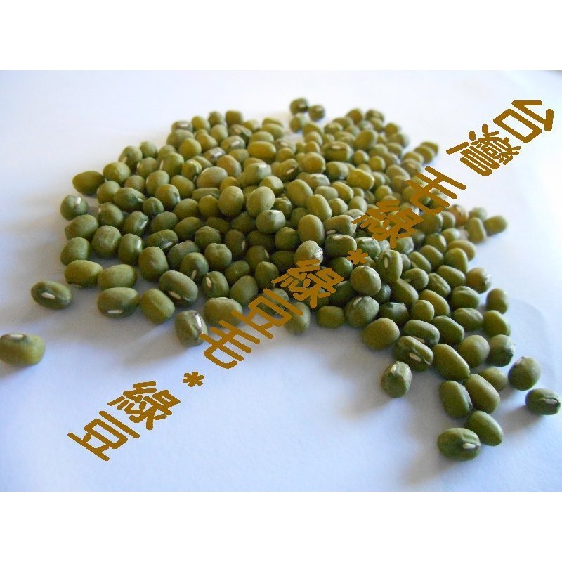 毛綠 綠豆 毛綠豆  產地:台灣 另有賣 毛綠豆.薏仁