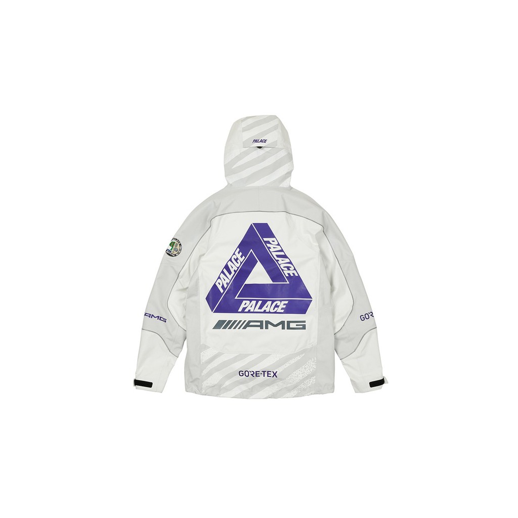 palace supreme stussy gore tex 2022aw-