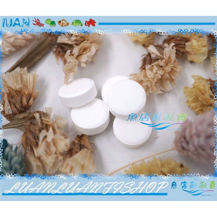 魚店亂亂賣 Luanfishop嚴選水草co2錠100錠裝二氧化碳錠 水草缸最愛免用鋼瓶 蝦皮購物
