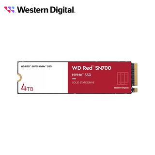 WD 紅標 SN700 4TB NVMe PCIe NAS SSD 現貨 廠商直送