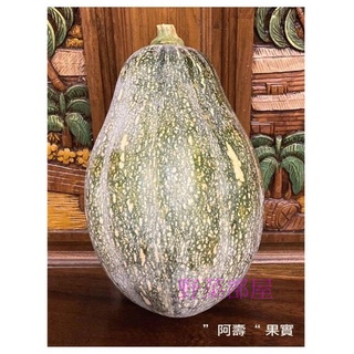【萌田種子~】K17 阿壽木瓜型南瓜種子60粒 ,生長勢強 ,抗多種南瓜毒素病~