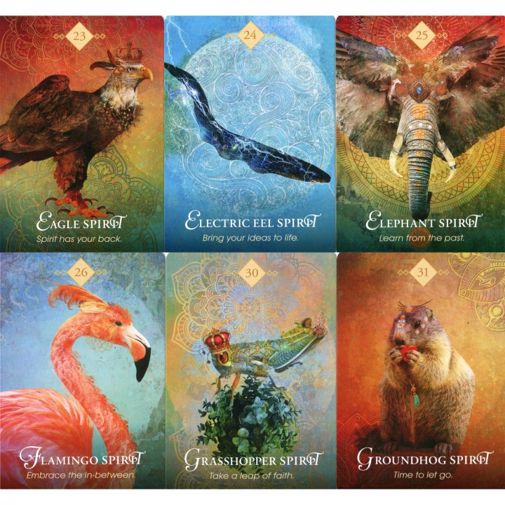 預馨緣塔羅鋪 全新現貨正版靈性動物神諭卡the Spirit Animal Oracle 68張 蝦皮購物