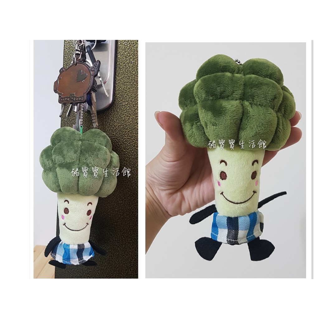 花椰菜婚禮小物 拍賣 評價與ptt熱推商品 21年4月 飛比價格