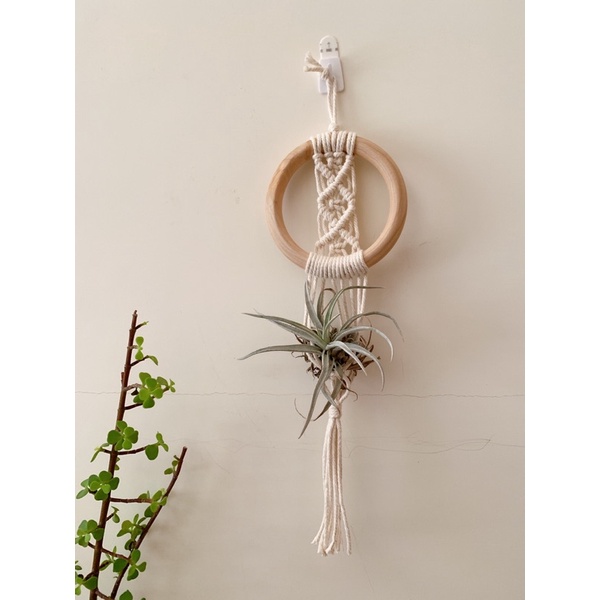 macrame 編織 空氣鳳梨 掛牆裝飾 編繩 室內植物 流蘇裝飾