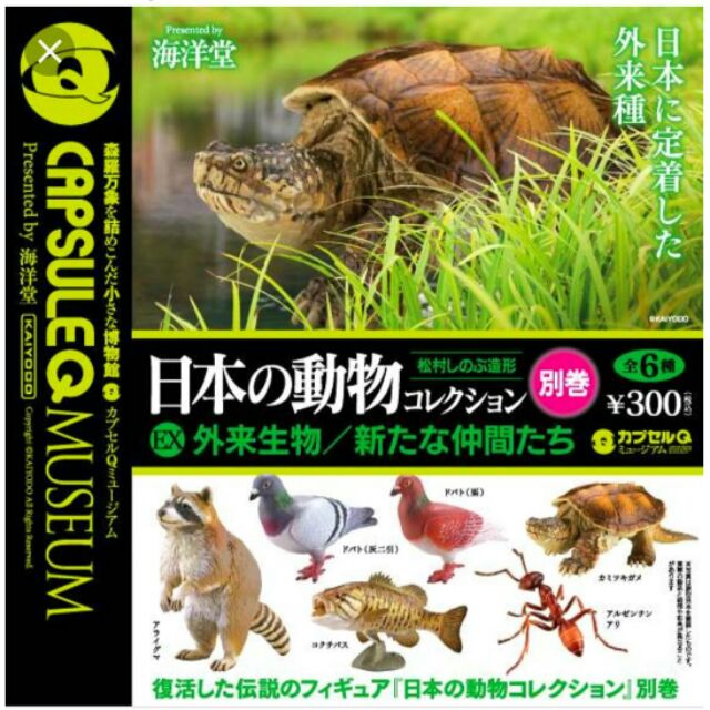海洋堂 日本的動物 外來生物 全六種 正版絕版品