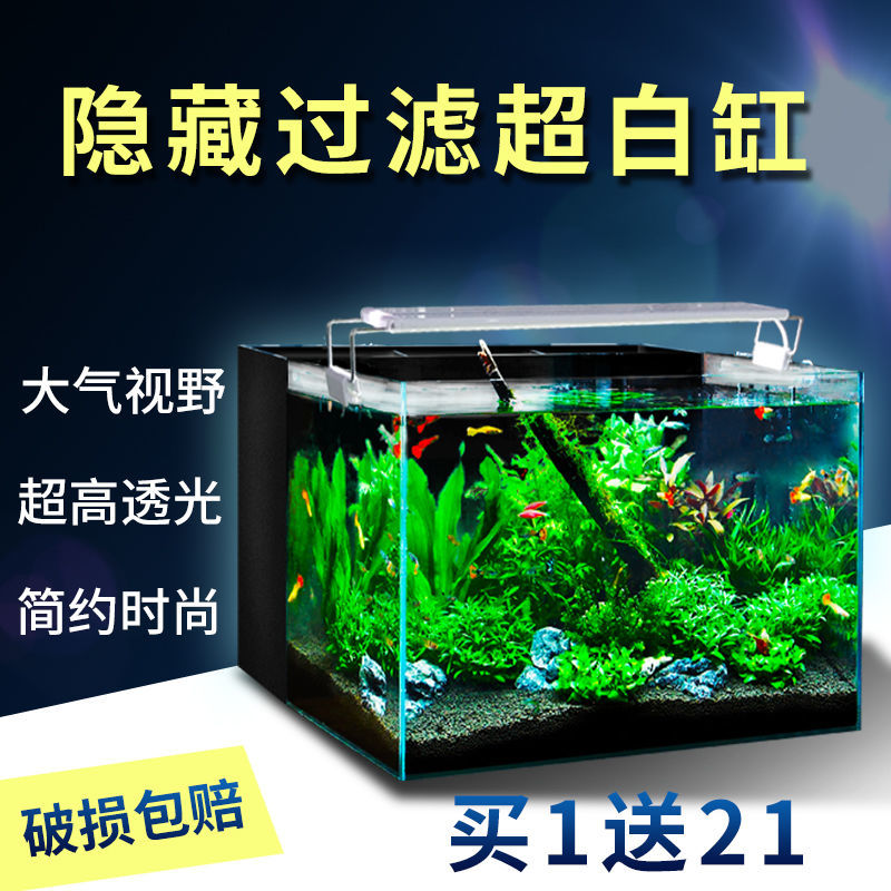 魚缸烏龜缸家用客廳小型魚缸子彈頭水族箱水陸缸金魚c 蝦皮購物