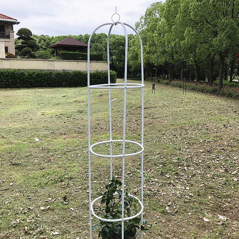 鐵藝玫瑰月季花柱架鐵線蓮爬藤架攀藤植物架子花盆支架桿鳥籠戶外 蝦皮購物