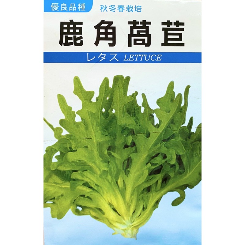 大信農產行 鹿角萵苣種子每包2公克 蝦皮購物