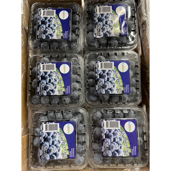 「豆豆水果店」秘魯藍莓🫐 每箱12小盒