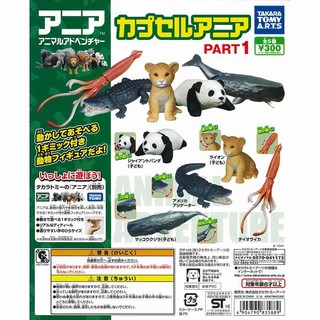 [御宅族] T-ARTS 代理 轉蛋 扭蛋 多美動物園 轉蛋動物集PART1 全5種 現貨 TOMY TAKARA P1