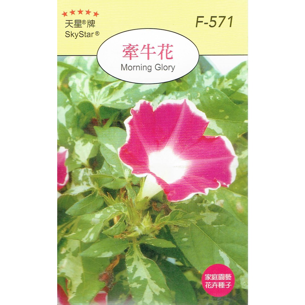 尋花趣牽牛花 Morning Glory 花卉種子 天星牌小包裝種子 蝦皮購物