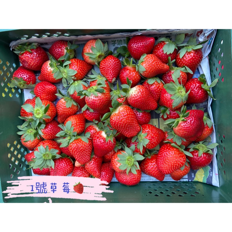 🍓新鮮苗栗大湖草莓（2.5斤）🍓