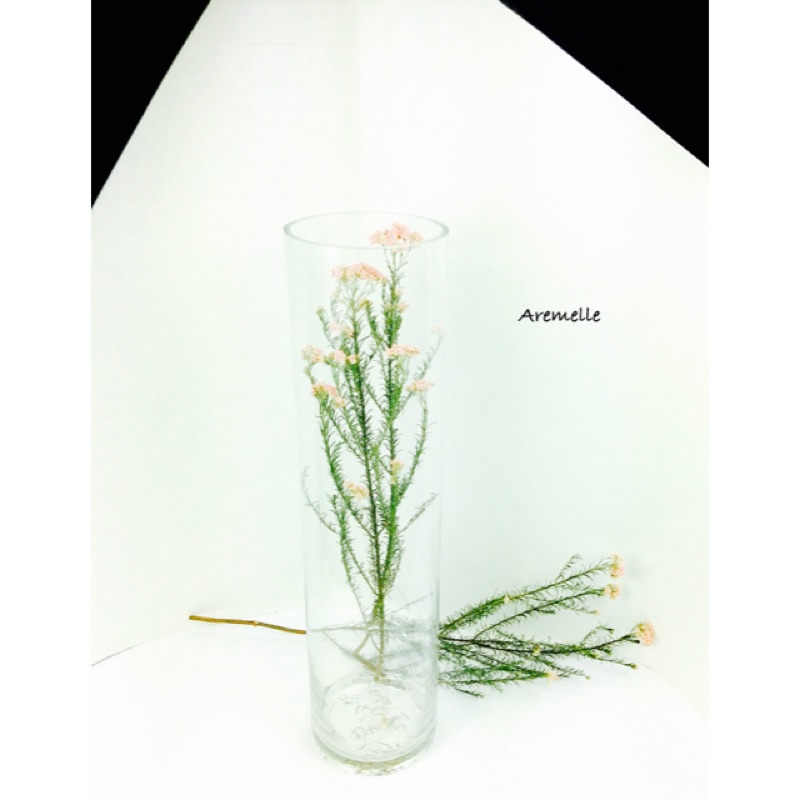 《Are獨立之家》透明玻璃 長條圓柱型花器 花瓶 微景觀 口徑15cm高60cm