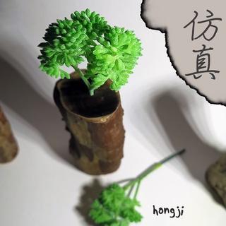 多肉 模擬多肉 微景觀 P49 假多肉植物 辦公室小物生日禮物拍照道具居家裝飾咖啡屋商店擺飾迷你木頭底座盆栽