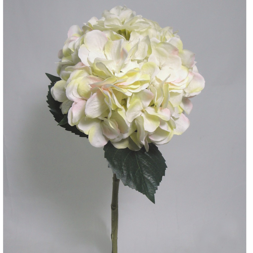 勁果uj 特大繡球吋 紫陽花 洋繡球 人造花 假花 餐廳百貨櫥窗佈置 園藝 浪漫氛圍 春節 情人節 捧花素材 蝦皮購物