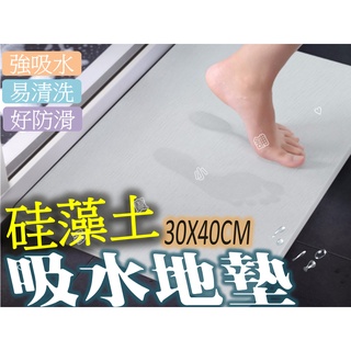 臺灣出貨🍀矽藻土吸水地墊 瞬間吸水 寵物地墊 藻土地墊 衛生間吸水地墊 浴室防滑墊 腳墊 踏墊 防潮地墊 天然矽藻 除臭