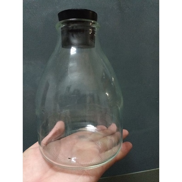 玻璃瓶/培育瓶/培養瓶/手作材料/苔蘚瓶/二手