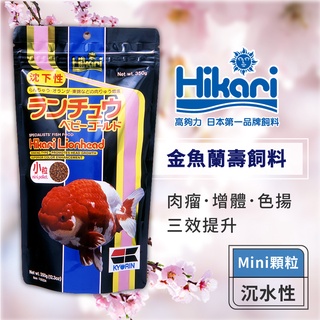 Hikari 高夠力 金魚蘭壽飼料 Mini顆粒 獅頭 蘭壽 東錦 金魚增豔增體