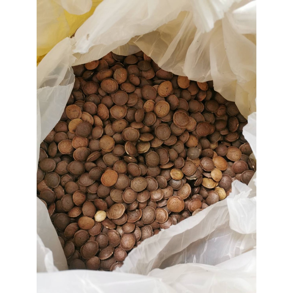 光禾館 - 頂級印加果黑豆，每公斤250元。星星果 自然農法印加果