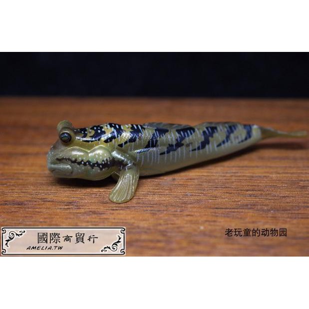 絕版日本yujin出品原色淡水魚圖鑒2代改訂版單賣 銀身彈涂魚 蝦皮購物