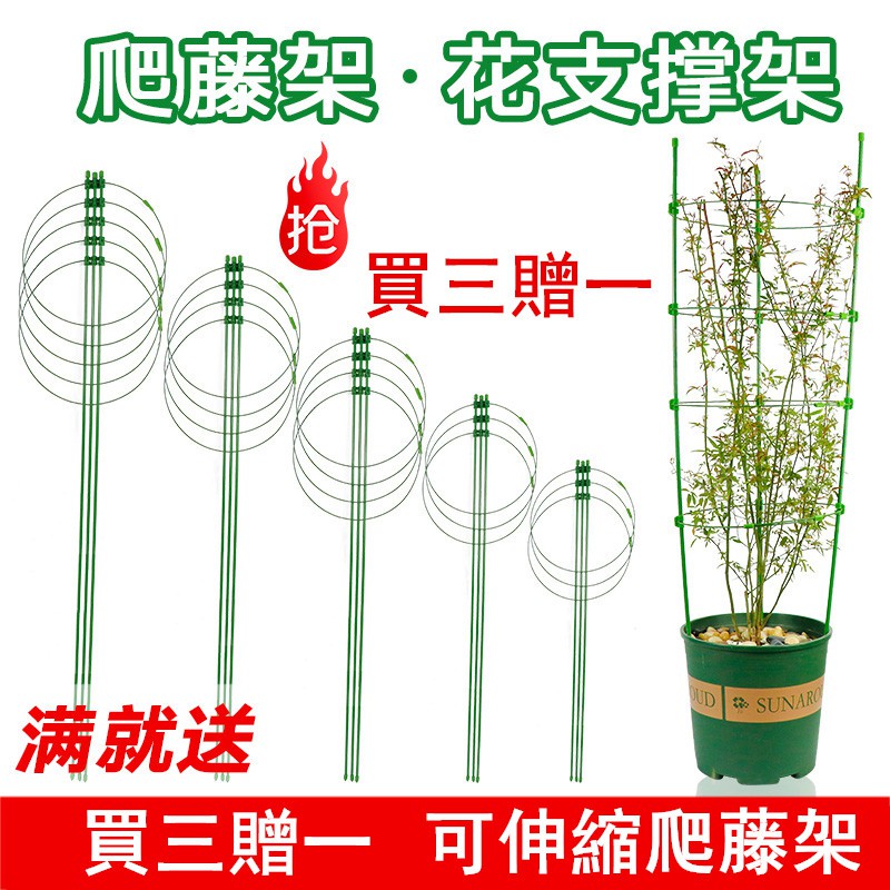 室內花的薔薇月季綁棍綁花支柱爬藤架支架固定綠蘿攀爬架園藝用品 蝦皮購物