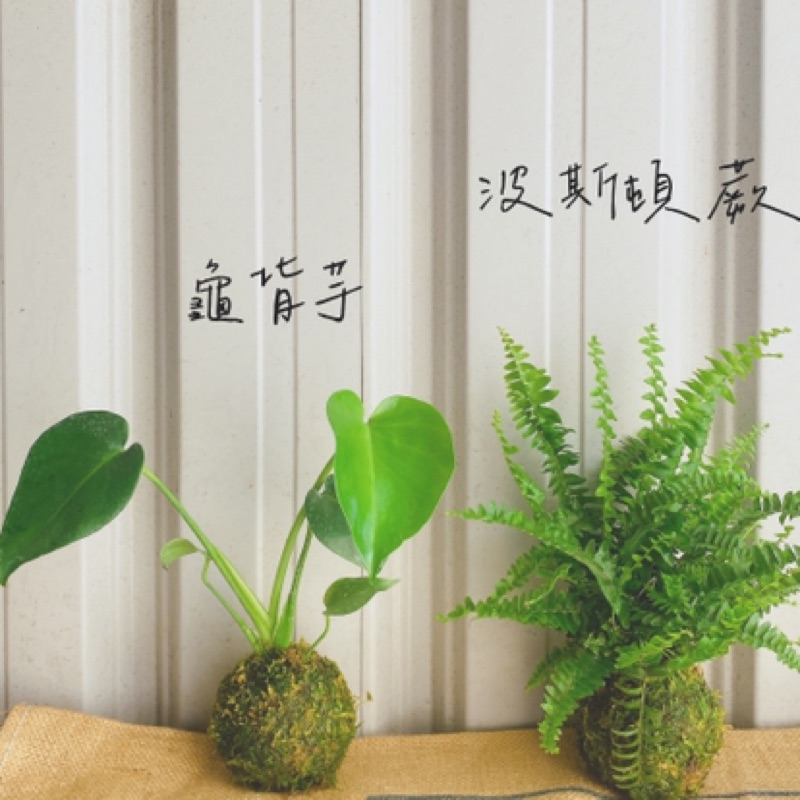 緩拾pickup Slowly 線上商店 蝦皮購物