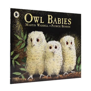 免運可刷卡 點讀版 Owl Babies 貓頭鷹寶寶 進口英文原版繪本故事書 支持好餓的毛毛蟲點讀筆 團購批發洽客服