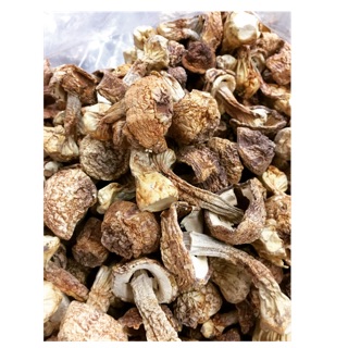 香菇 合格 巴西蘑菇 150g 300g 600g
