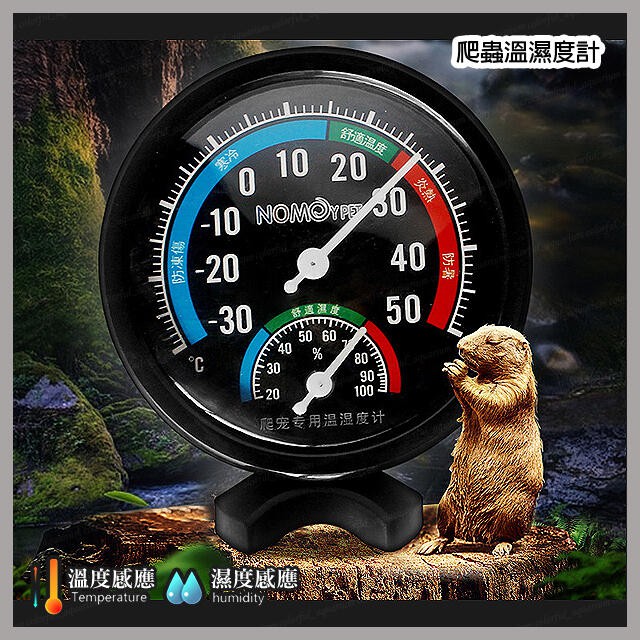 NOMOYPET諾摩《爬蟲溫濕度計》溫度計+溼度計，指針式、類比溫濕度計、兩用溼度計，保濕、兩棲