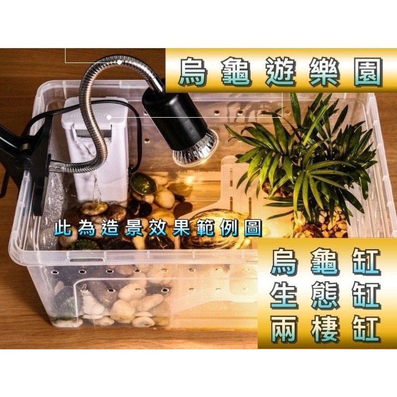 動力水族 寵物缸兩棲缸烏龜缸角蛙缸寄居蟹飼育盆飼育箱寵物箱寵物盒曬背缸爬缸角蛙烏龜水龜 蝦皮購物