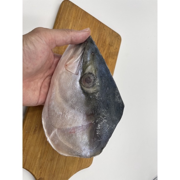 紅毛港海鮮市集鰤魚頭青甘頭 500g 5 日本進口火鍋魚頭三杯魚頭 蝦皮購物