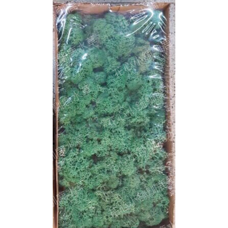 花心小舖花藝用品 挪威馴鹿水草 500克 蝦皮購物