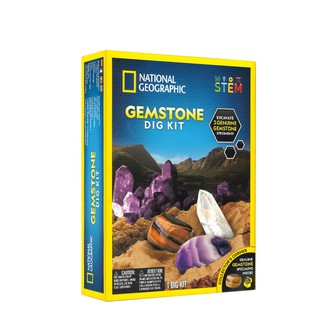 NATIONAL GEOGRAPHIC 國家地理 地質寶石挖掘套組 現貨 廠商直送