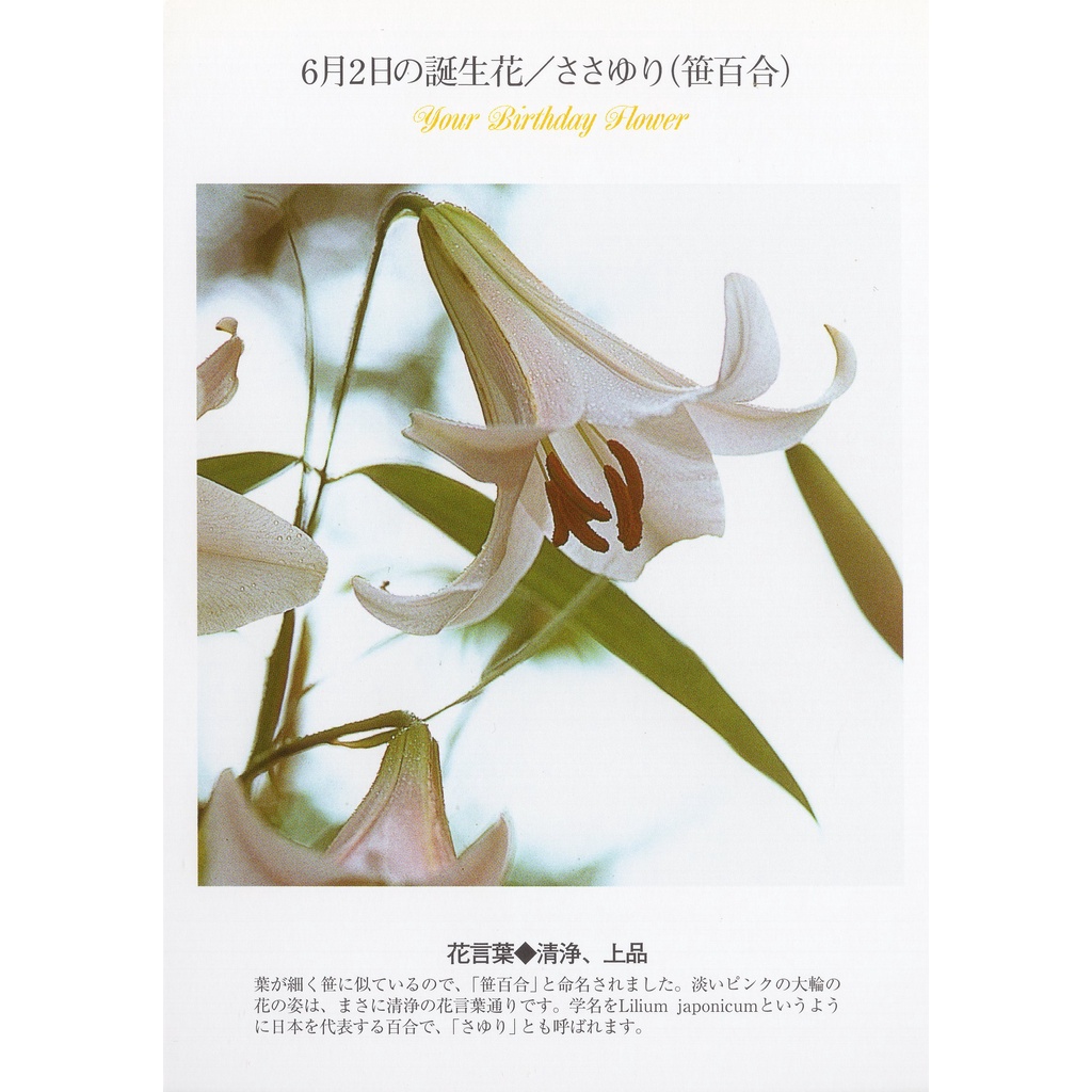 誕生花 優惠推薦 22年10月 蝦皮購物台灣