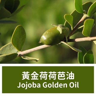 【馥靖精油】 黃金荷荷芭油 Jojoba Golden Oil 高品質 1公升 3公升賣場