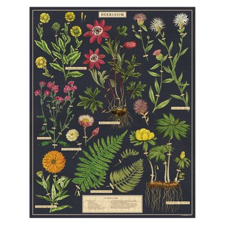 歐美進口拼圖（Cavallini & Co）/1000片/Herbarium