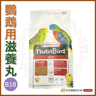 B18 鸚鵡繁殖用濃縮滋養丸│凡賽爾│寵物鳥、鸚鵡用