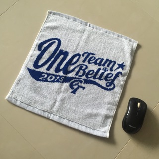 中華隊 CHINESE TAIPEI 方巾 毛巾 CPBL 棒球 台灣隊 12強