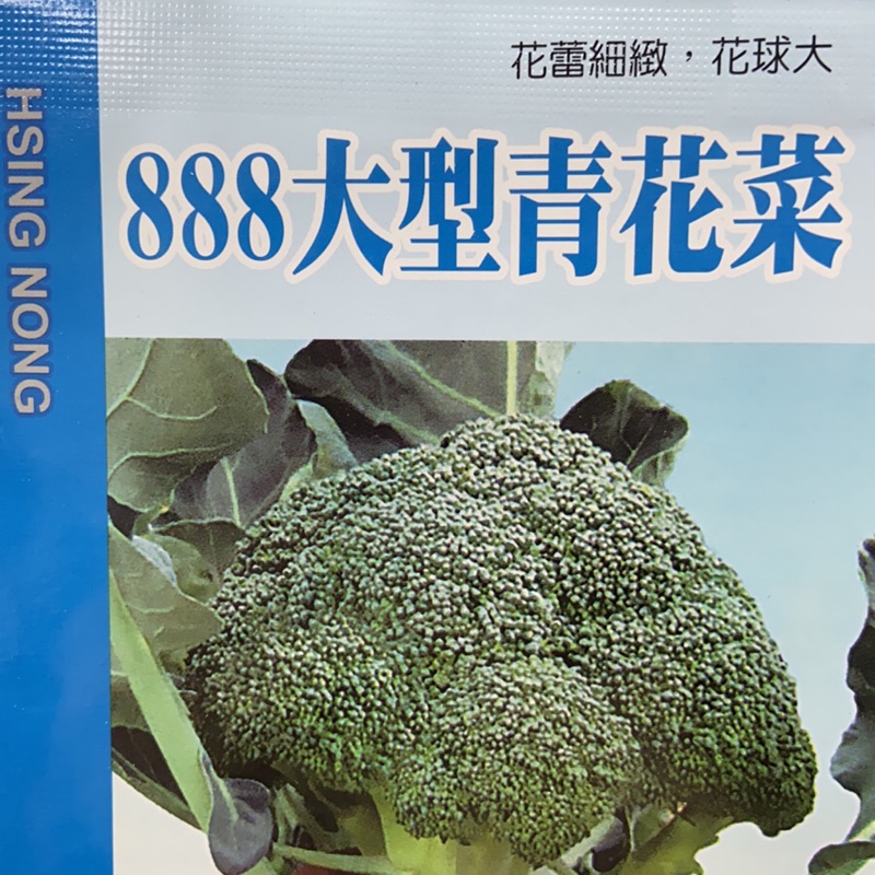 8大型青花菜broccoli 蔬果種子 興農種苗彩色原包裝原廠密封包裝 蝦皮購物